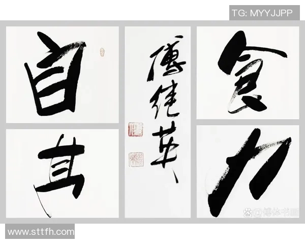 梅里诺纳瓦拉硬汉的传奇人生与不屈精神的深度剖析